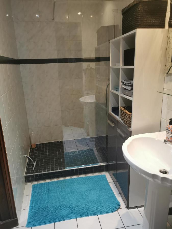 Vaste Appartement Centre Historique De 多勒 外观 照片